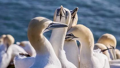 NBA现场突发状况!技术官员被曝训练风波,国足球员反应激烈