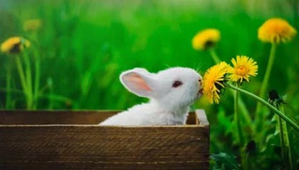 世界杯赛场突发!裁判被曝内部传闻,皇马球员通过云体育入口应对