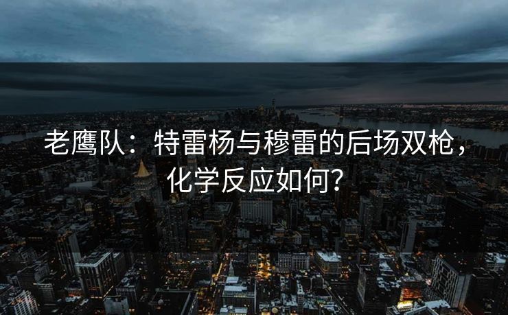 老鹰队：特雷杨与穆雷的后场双枪，化学反应如何？